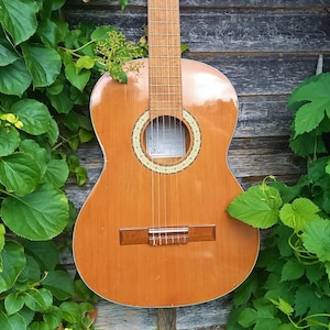 Puede incluir: Una guitarra acústica clásica con acabado de madera natural. La guitarra tiene seis cuerdas, una boca con roseta decorativa y un puente de madera. La guitarra está rodeada de follaje verde, creando un telón de fondo natural.