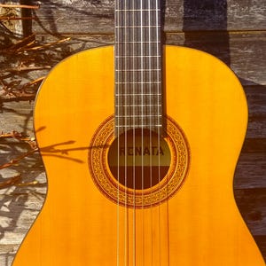 May include: A close-up of a wooden acoustic guitar with a natural wood finish. The guitar has a soundhole with a decorative inlay and the word "RENATA" written on it.