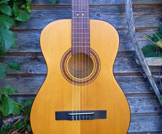 Best vintage 2024 parlor guitars