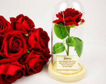 Rose in glass dome, Eternal flowers, Enchanted rose, Glass dome, Valentines day gift, Red rose, Beauty and the beast