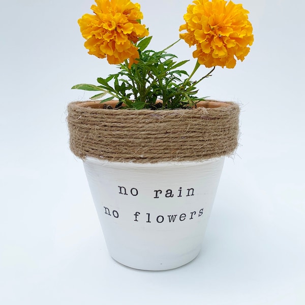 No Rain No Flowers Pot