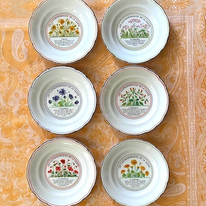 French Dessert / Cheese Plates:  Gien France “Les Gastronomiques de la Santé” Series Jardin Enchant, French Faience, Set of 6