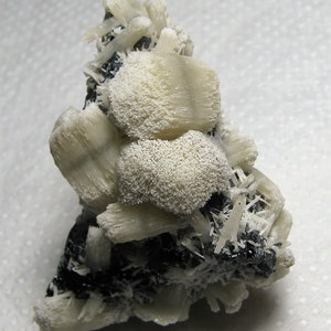 May include: A cluster of white, needle-like crystals on a black, metallic base. The crystals are arranged in a random, organic pattern, creating a unique and interesting display.