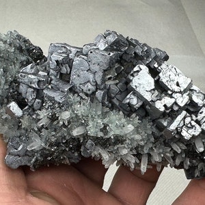 非常に珍しい骨格状の方鉛鉱、石英と閃亜鉛鉱付き、マダン、ブルガリア、天然水晶、最高の状態、ギフト、N5782