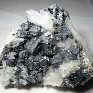 ブルガリア、マダンの有名な9月9日鉱山産の美しい方鉛鉱と石英、鉱物、天然水晶、最高の状態、N996