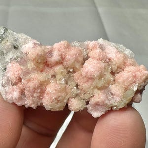 Może przedstawiać: Okaz minerału z skupiskiem jasno różowych, krystalicznych formacji. Różowe kryształy znajdują się na matrycy szarej i białej skały. Okaz jest trzymany w dłoni.