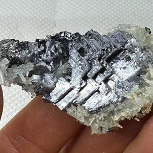 ブルガリア、マダン産、美しい希少な骨格状方鉛鉱（クォーツ入り）、鉱物、天然水晶、最高の状態、N9349