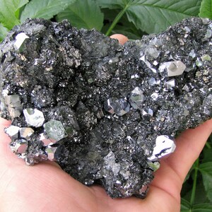 Erstaunliche Galena mit Sphalerit aus der berühmten Borieva Mine, Madan, Bulgarien, Natur Kristall, Top Zustand, N2174
