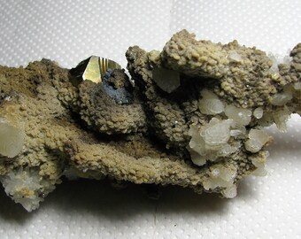 May include: A natural mineral specimen featuring a cluster of crystals. The piece has a rough, textured surface with a mix of colors, including tan, brown, and white. A metallic, golden-colored crystal is also present, adding a striking contrast.