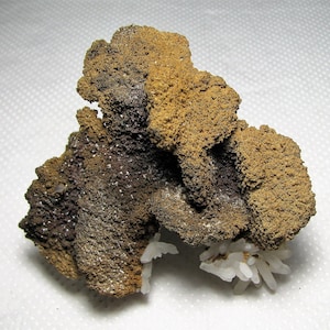May include: A cluster of brown and grey mineral specimens with a white, crystalline base.