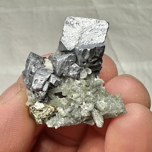 Può includere: Un gruppo di cristalli di galena color argento con un cristallo di pirite dorato più piccolo su un letto di cristalli di quarzo bianco e verde.