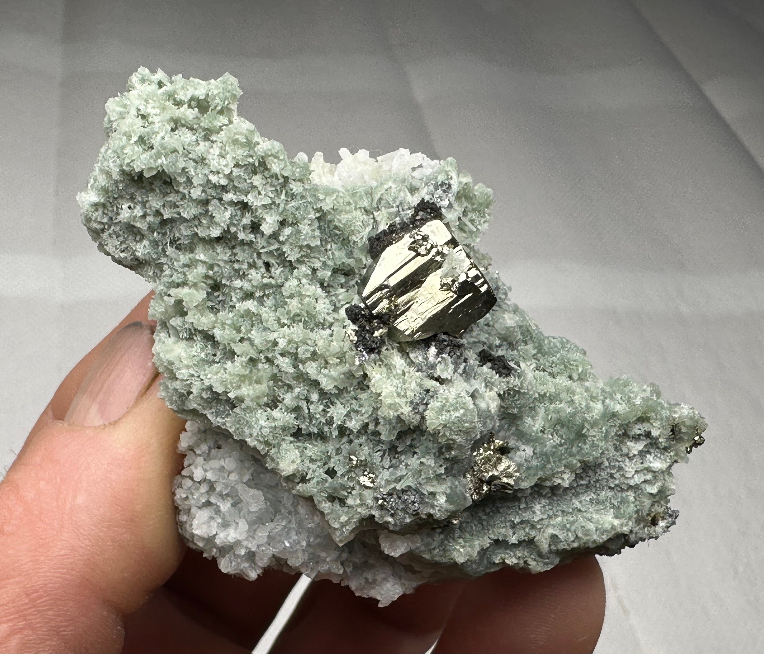 Very Aesthetic Shiny Pyrite on Green Quartz With Chloride