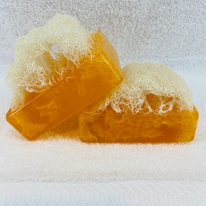 Essential Oil Egyptian Loofah Soaps