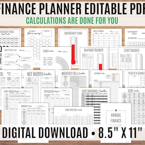 Financial Planner, Finance Planner, Best Budgeting Planner, Debt Snowball, Budget Printable, Editable PDF - Calculations done for you