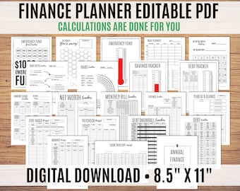 Financial Planner, Finance Planner, Best Budgeting Planner, Debt Snowball, Budget Printable, Editable PDF - Calculations done for you