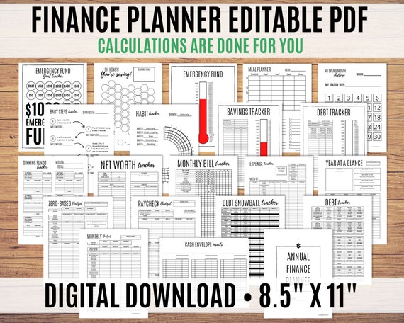 Financial Planner, Finance Planner, Biweekly Budget Planner, Debt Snowball, Budget Printable, Editable PDF - Calculations done for you