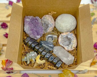 fossil kits for sale