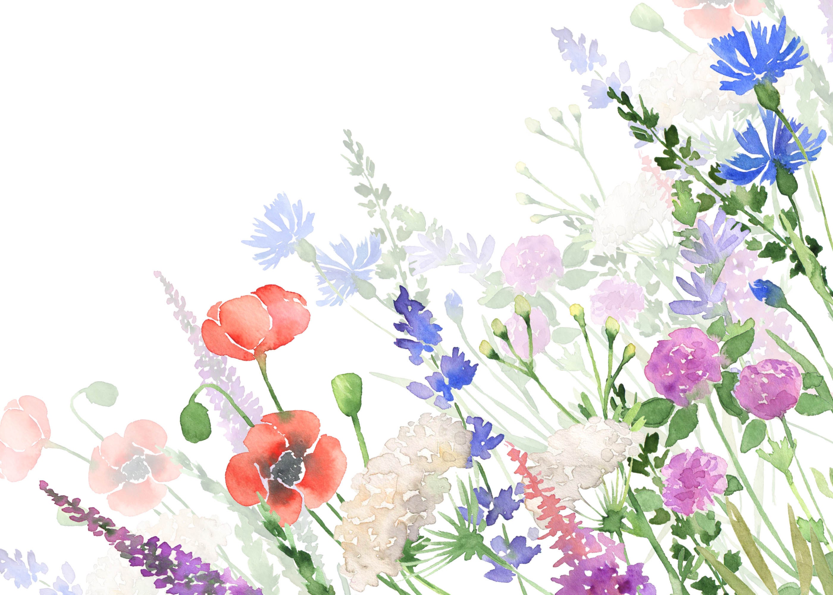 Aquarel Wildflowers clipart botanische bloemen bestanden | Etsy