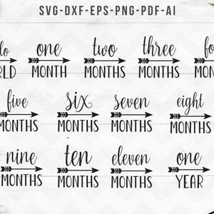 Meilenstein SVG, Meilenstein SVG, Baby Shower SVG, Baby Mädchen, Baby Junge, monatlicher Meilenstein, Cricut Silhouette Cut Files -svg,dxf,png,ai,eps