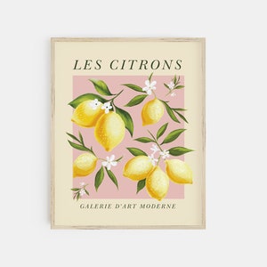 Pode incluir: Uma impress&atilde;o emoldurada com fundo rosa e moldura branca. A impress&atilde;o apresenta uma ilustra&ccedil;&atilde;o estilizada de lim&otilde;es em um galho com flores brancas. O texto "LES CITRONS" est&aacute; no topo da impress&atilde;o e "GALERIE D'ART MODERNE" est&aacute; na parte inferior.