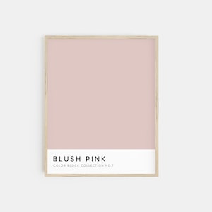May include: A framed print of a blush pink color block with the text "BLUSH PINK" and "COLOR BLOCK COLLECTION NO. 7" below the color block.