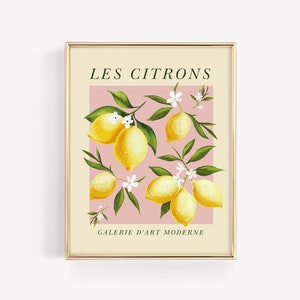 Pode incluir: Uma impress&atilde;o emoldurada com fundo rosa e moldura dourada. A impress&atilde;o apresenta uma ilustra&ccedil;&atilde;o estilizada de lim&otilde;es com flores brancas e folhas verdes. O texto "LES CITRONS" est&aacute; no topo da impress&atilde;o e "GALERIE D'ART MODERNE" est&aacute; na parte inferior.