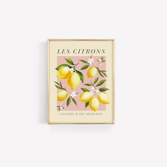lemon print | french print | pink wall art | pink prints | pink and green prints