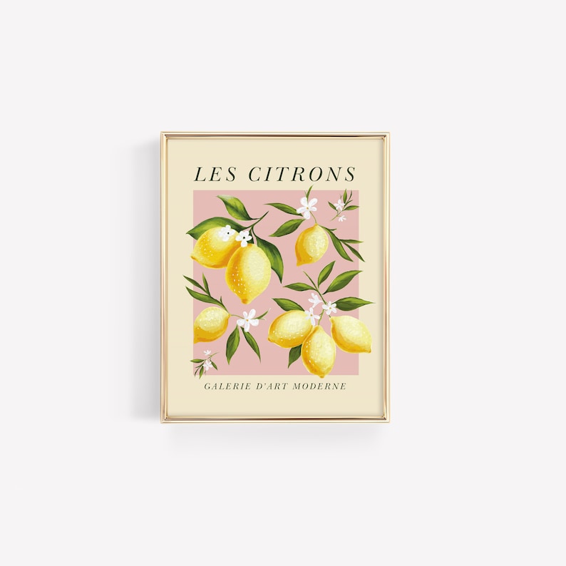 Pode incluir: Uma impress&atilde;o emoldurada com fundo rosa e moldura dourada. A impress&atilde;o apresenta uma ilustra&ccedil;&atilde;o estilizada de lim&otilde;es com flores brancas e folhas verdes. O texto "LES CITRONS" est&aacute; no topo da impress&atilde;o e "GALERIE D'ART MODERNE" est&aacute; na parte inferior.