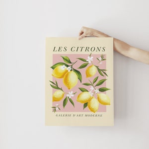 Pode incluir: Um p&ocirc;ster de estilo vintage com fundo rosa que apresenta uma &aacute;rvore de lim&atilde;o com lim&otilde;es amarelos e flores brancas. O texto "LES CITRONS" est&aacute; no topo do p&ocirc;ster e "GALERIE D'ART MODERNE" est&aacute; na parte inferior.