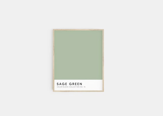 sage green print | color block art | sage green decor
