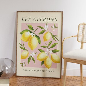 Pode incluir: Uma impress&atilde;o emoldurada com fundo rosa e uma ilustra&ccedil;&atilde;o estilizada de lim&otilde;es e flores brancas. O texto "LES CITRONS GALERIE D'ART MODERNE" est&aacute; impresso na parte superior e inferior da imagem.