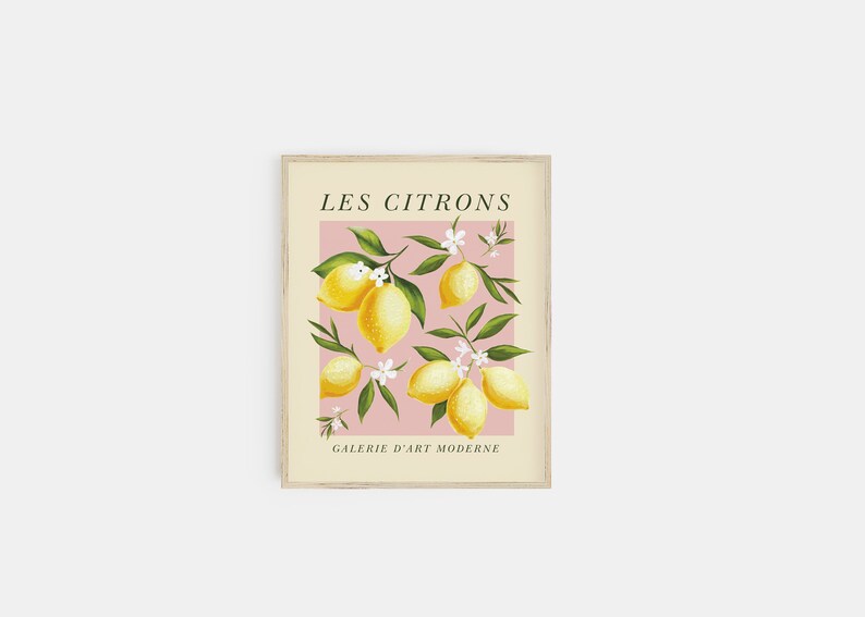 Pode incluir: Uma impress&atilde;o emoldurada com fundo rosa e moldura branca. A impress&atilde;o apresenta uma ilustra&ccedil;&atilde;o estilizada de lim&otilde;es em um galho com flores brancas. O texto "LES CITRONS" est&aacute; no topo da impress&atilde;o e "GALERIE D'ART MODERNE" est&aacute; na parte inferior.