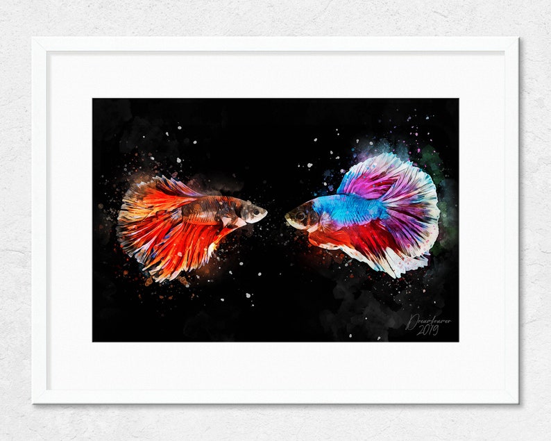 Fish Watercolor Wall Art Original Mixed Media Watercolor Art Print Siamese Fighting Fish Watercolor Art Print