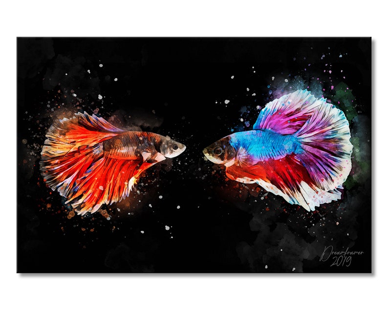 Fish Watercolor Wall Art Original Mixed Media Watercolor Art Print Siamese Fighting Fish Watercolor Art Print