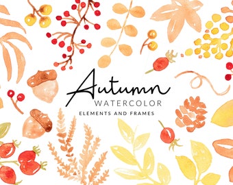 Soft Autumn / Fall Watercolor Clipart | Leafs and Berries | Digital Download | Separate PNG Elements | Clipart Frames | Red Orange Clipart