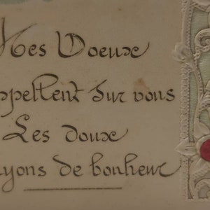 Oude ansichtkaart geschreven in 1903, beste wensen voor het jaar 1903, anemonen in reliëf, bloemblaadjes in prachtige metallic kleuren afbeelding 5