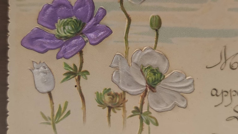 Oude ansichtkaart geschreven in 1903, beste wensen voor het jaar 1903, anemonen in reliëf, bloemblaadjes in prachtige metallic kleuren afbeelding 1