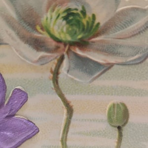 Oude ansichtkaart geschreven in 1903, beste wensen voor het jaar 1903, anemonen in reliëf, bloemblaadjes in prachtige metallic kleuren afbeelding 6