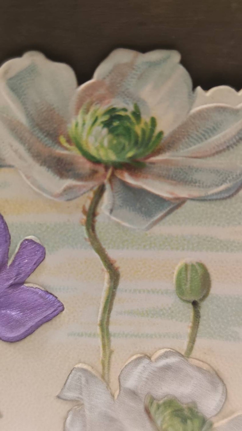 Oude ansichtkaart geschreven in 1903, beste wensen voor het jaar 1903, anemonen in reliëf, bloemblaadjes in prachtige metallic kleuren afbeelding 6