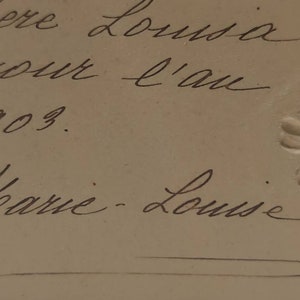 Oude ansichtkaart geschreven in 1903, beste wensen voor het jaar 1903, anemonen in reliëf, bloemblaadjes in prachtige metallic kleuren afbeelding 3