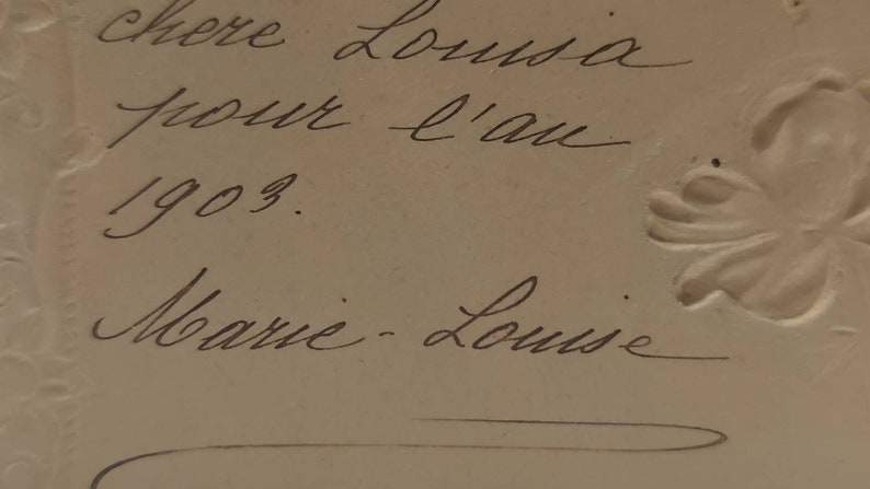 Oude ansichtkaart geschreven in 1903, beste wensen voor het jaar 1903, anemonen in reliëf, bloemblaadjes in prachtige metallic kleuren afbeelding 3