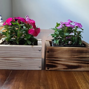 Garten Holz Pflanzer Box