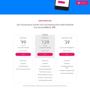 Credit Repair Business Website Template, Premium Wix Website Template, Pink Website Theme, Web Design, Boss Free Media image 4