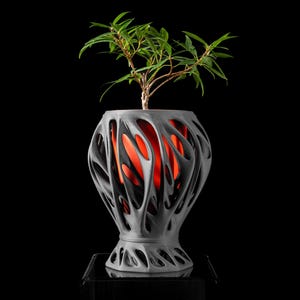 May include: A grey, 3D printed planter with a unique, organic design. The planter has a wide, open top and a narrow base. A small green plant is growing inside the planter.