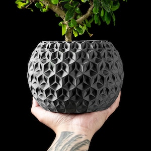 GeoBloom Planter