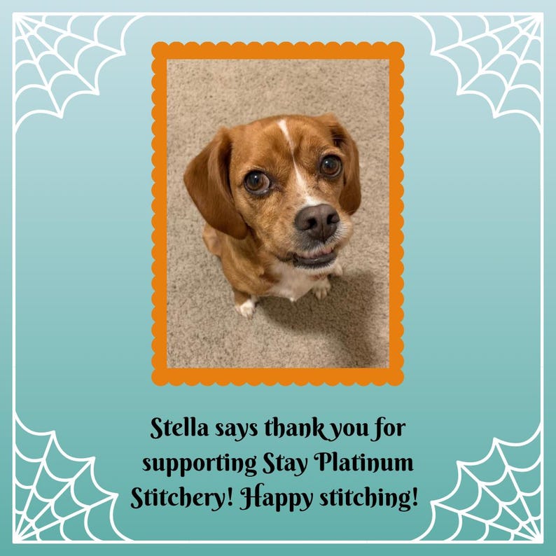 May include: A brown and white dog with floppy ears and a white stripe on its head, framed in an orange scalloped border. The image is set against a teal background with white spiderweb designs and text that reads, "Stella says thank you for supporting Stay Platinum Stitchery! Happy stitching!"