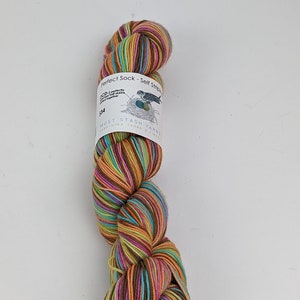 Perfect Sock Self Striping Must Stash Yarns Hand Dyed OCD 2 perfectly matched half skeins twisted together Color Retro Rainbow 6 stripes