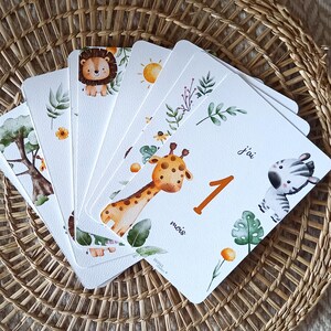 Peut inclure: Un ensemble de cartes étapes pour bébé avec des illustrations d'animaux de safari. Les cartes présentent un lion, une girafe, un zèbre et d'autres animaux, ainsi que le chiffre "1" et le mot "mois". Les cartes sont blanches avec des illustrations colorées.