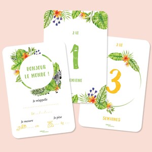 Cartes étapes Premiers mois, carte étape première année, cartes étapes naissance, papeterie bébé, première année, carte etape