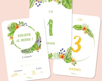 Cartes étapes Premiers mois, carte étape première année, cartes étapes naissance, papeterie bébé, première année, carte etape